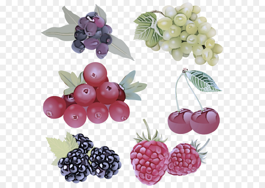 Bayas，Uvas PNG