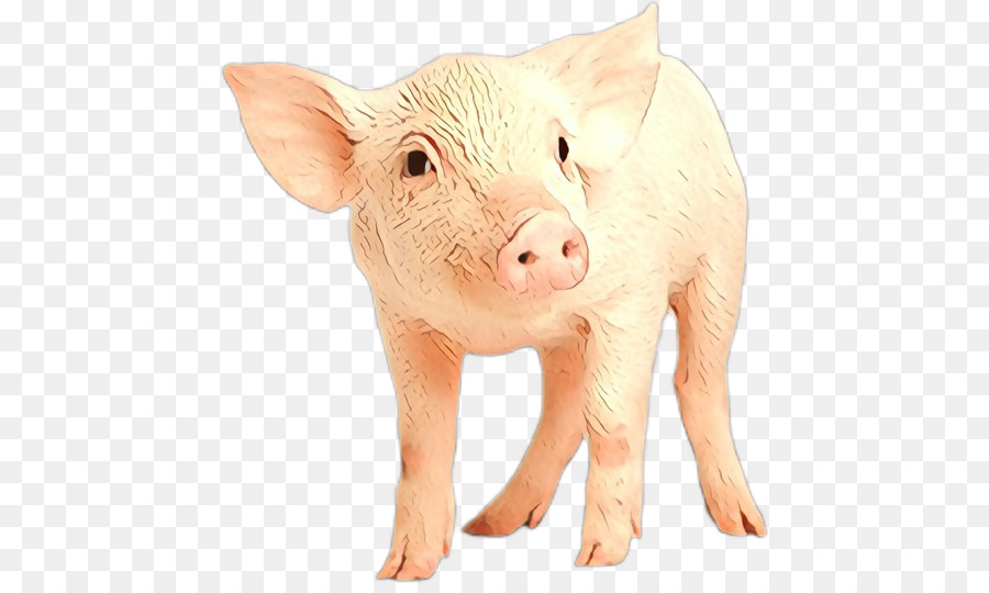 Cerdito，Cerdo PNG