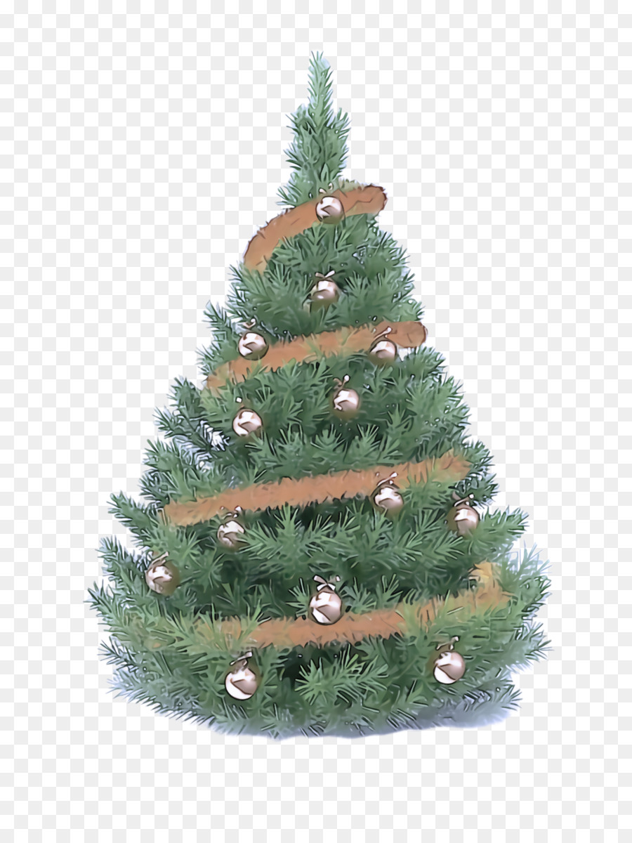 árbol De Navidad，El Abeto Balsámico PNG