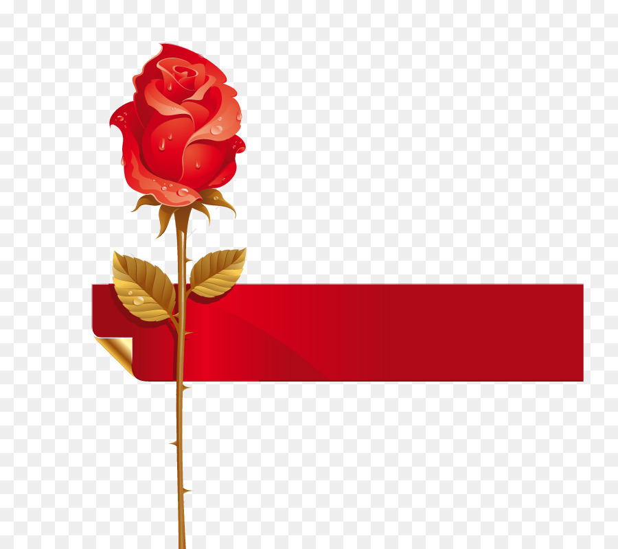 Rojo，Rosa PNG