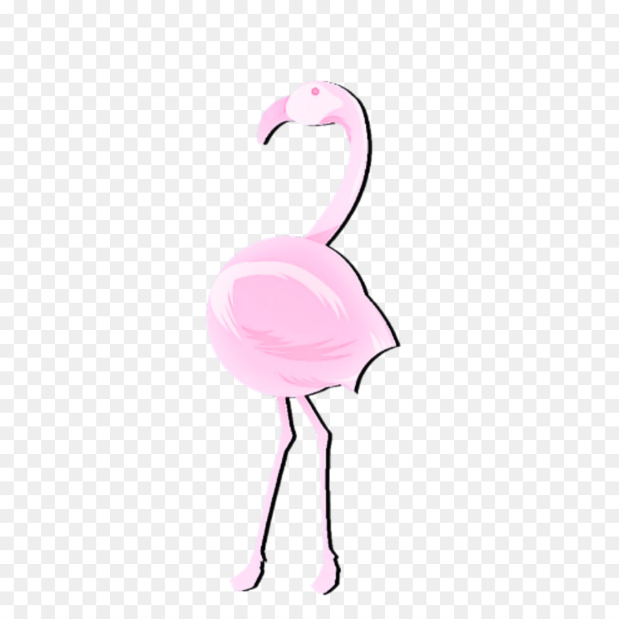 Flamingo，Aves PNG