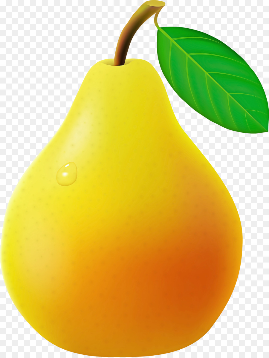 Pera，Árbol PNG