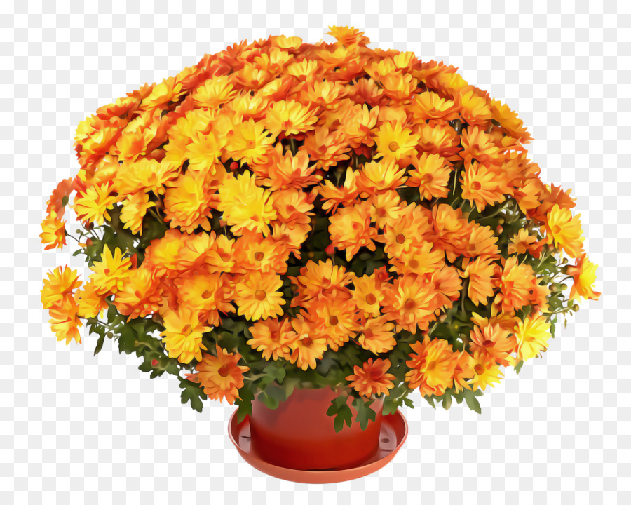 Flor，Tagetes PNG