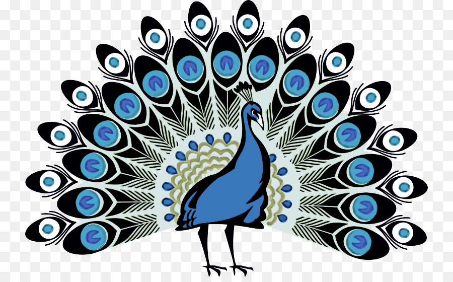 Pavo Real，Plumas PNG