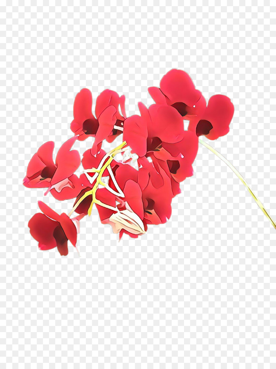 Rojo，Flor PNG