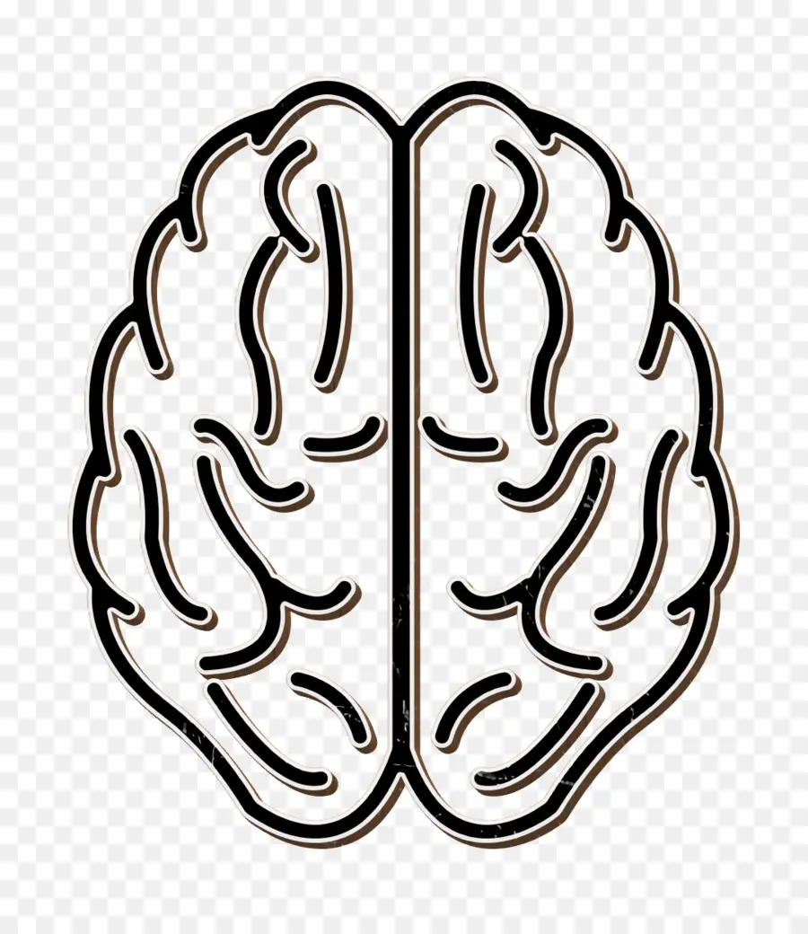 El Cerebro Humano，Esquema Del Cerebro Humano PNG