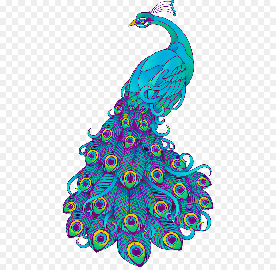 Pavo Real，Aqua PNG