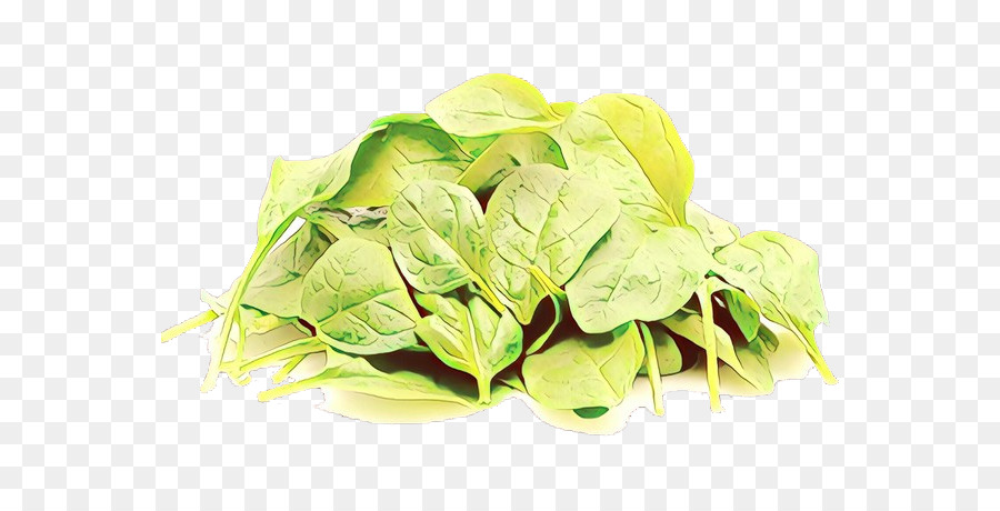 Hoja，Planta PNG