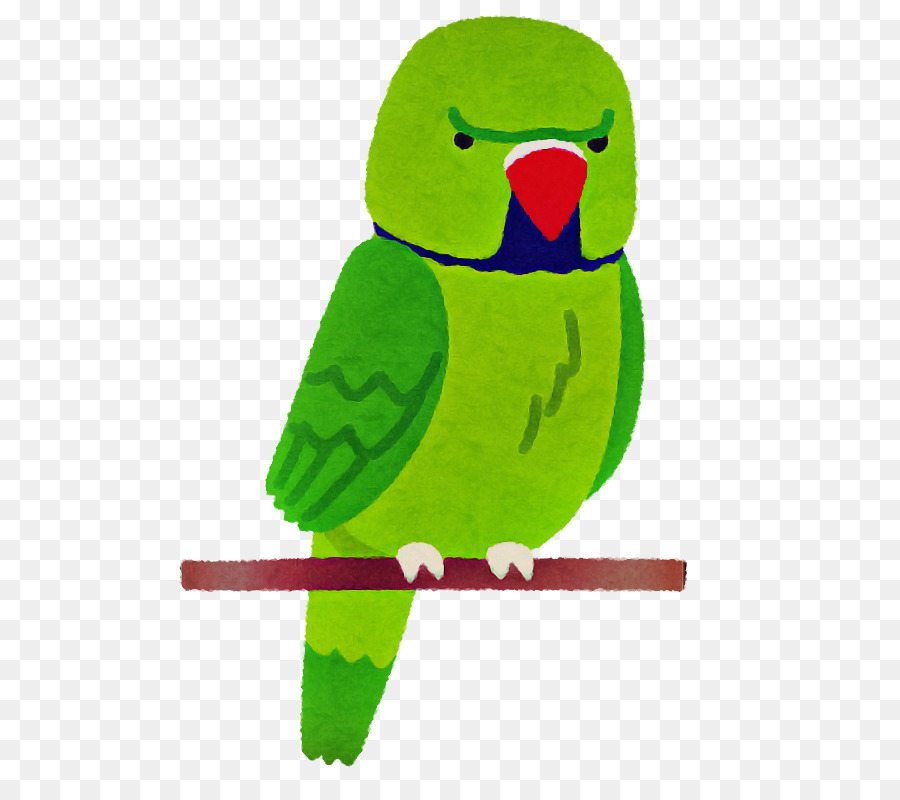 Aves，Verde PNG