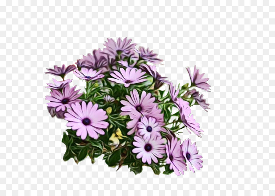 Flores Moradas，Florecer PNG