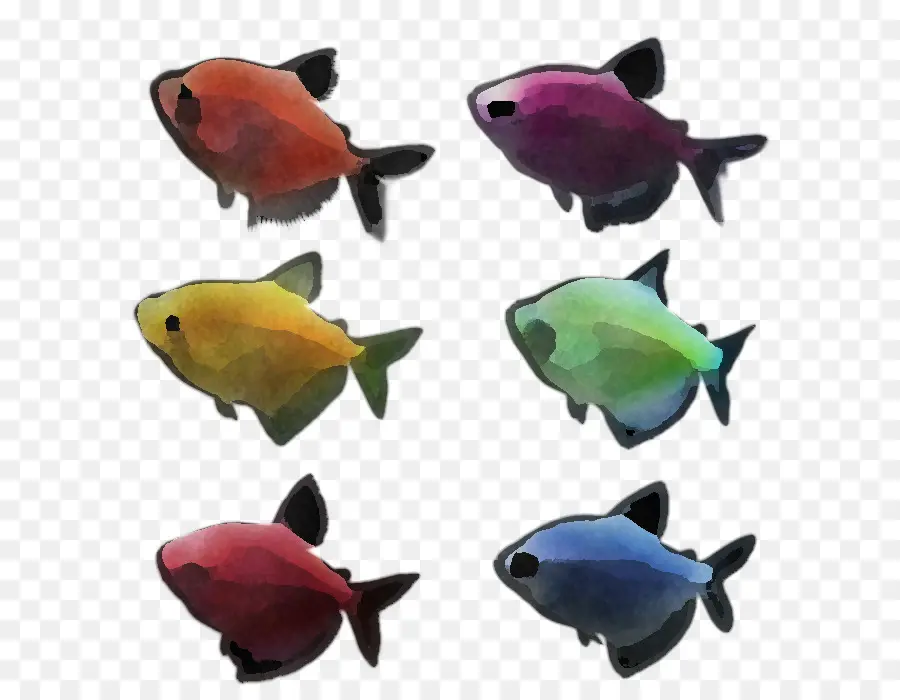 Peces Coloridos，Acuario PNG