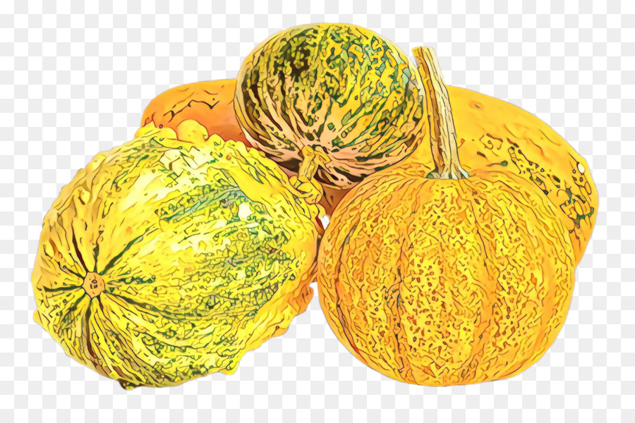 Calabaza De Invierno，Planta PNG