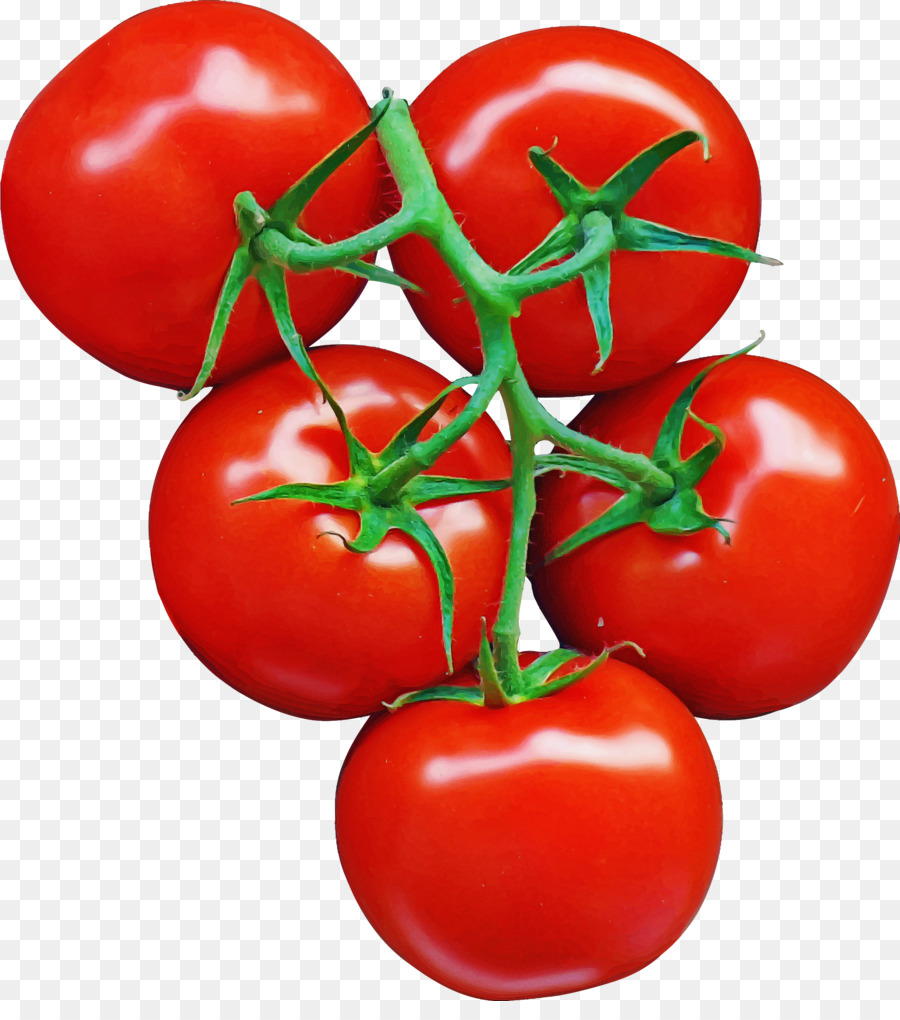 Alimentos Naturales，Bush Tomate PNG