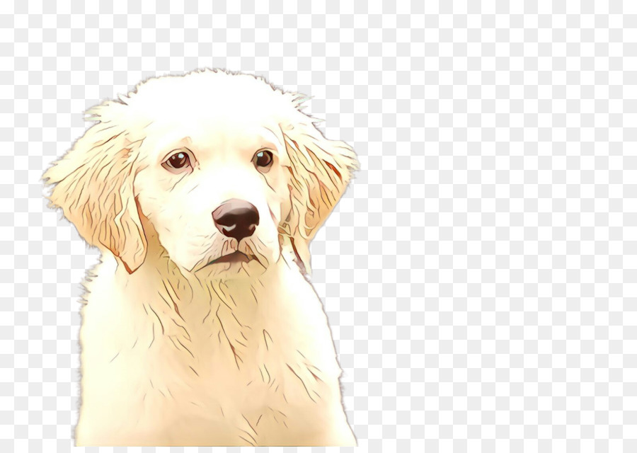 Perro，Perro De Compañía PNG