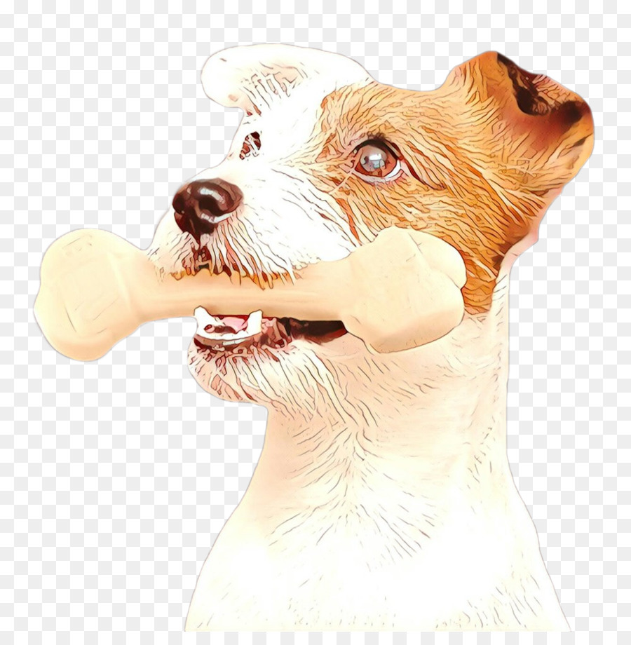 Perro，Perro De Compañía PNG