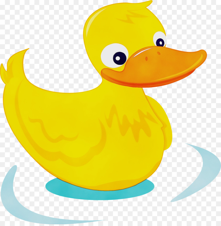 Pato，Aves PNG