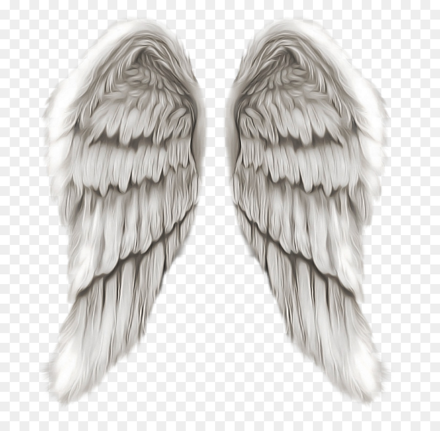 Alas De ángel，Plumas PNG