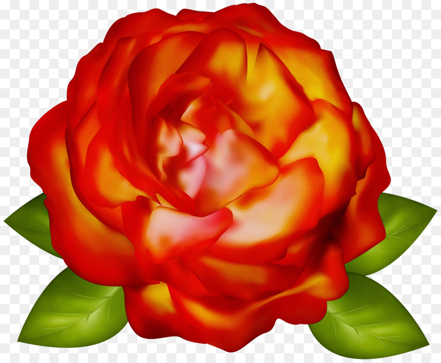 Flor Rosa，Florecer PNG