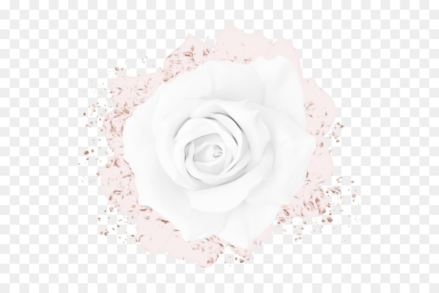 Blanco，Rosa PNG