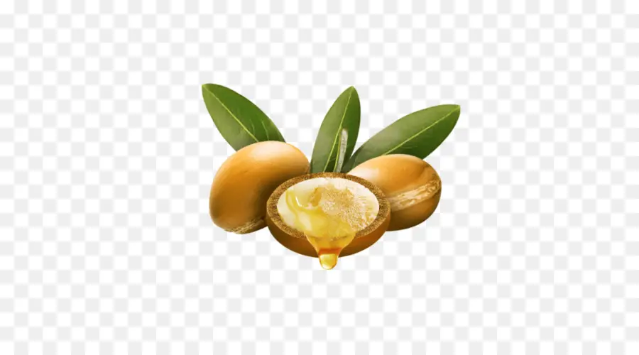 Planta，La Fruta PNG