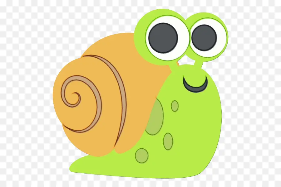 Caracol，Verde PNG