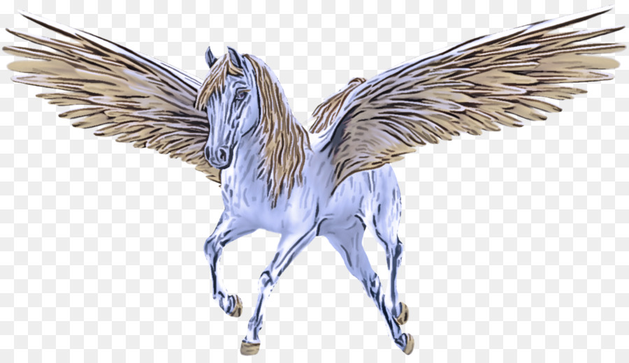 Caballo Alado，Pegaso PNG