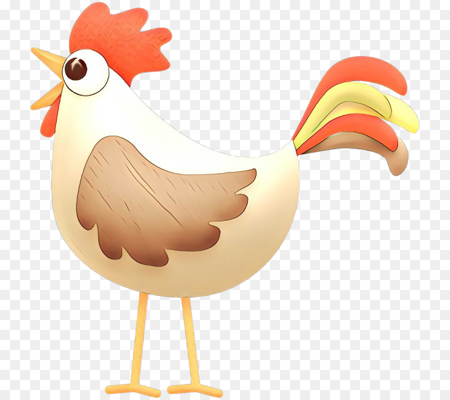 Pollo，Gallo PNG