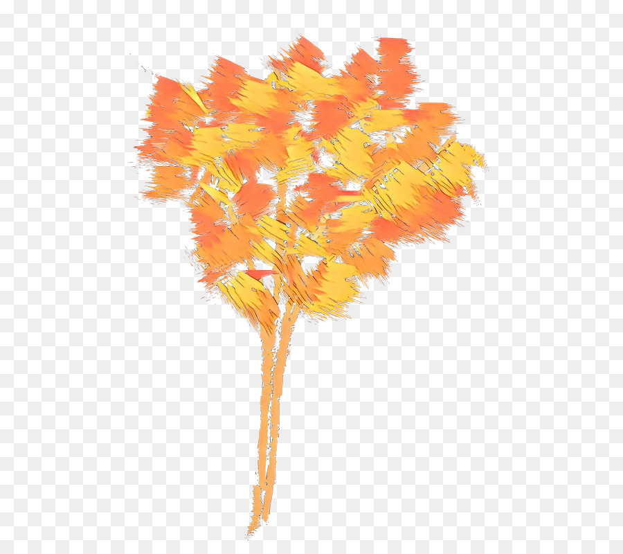 Naranja，Amarillo PNG