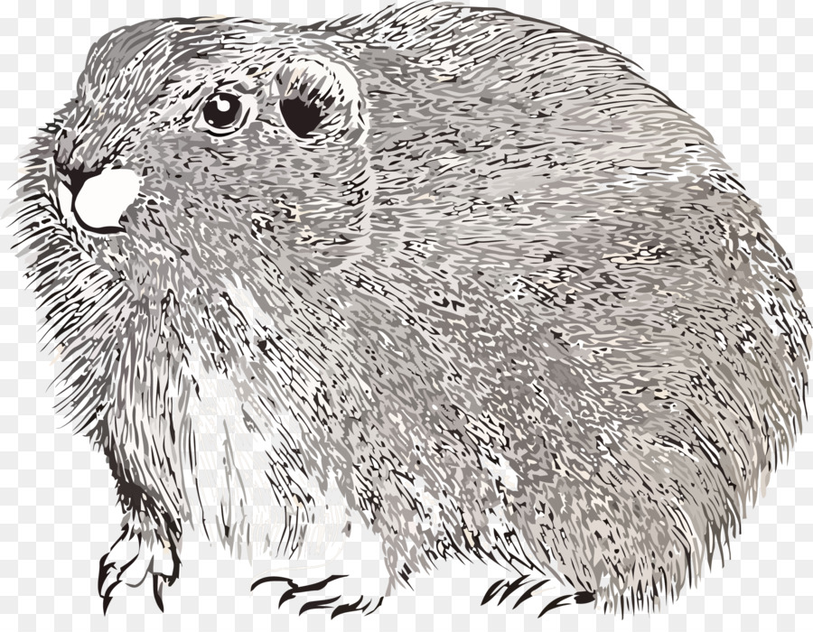 De La Marmota，Gopher PNG