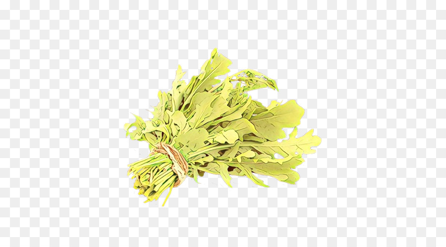 Amarillo，Planta PNG