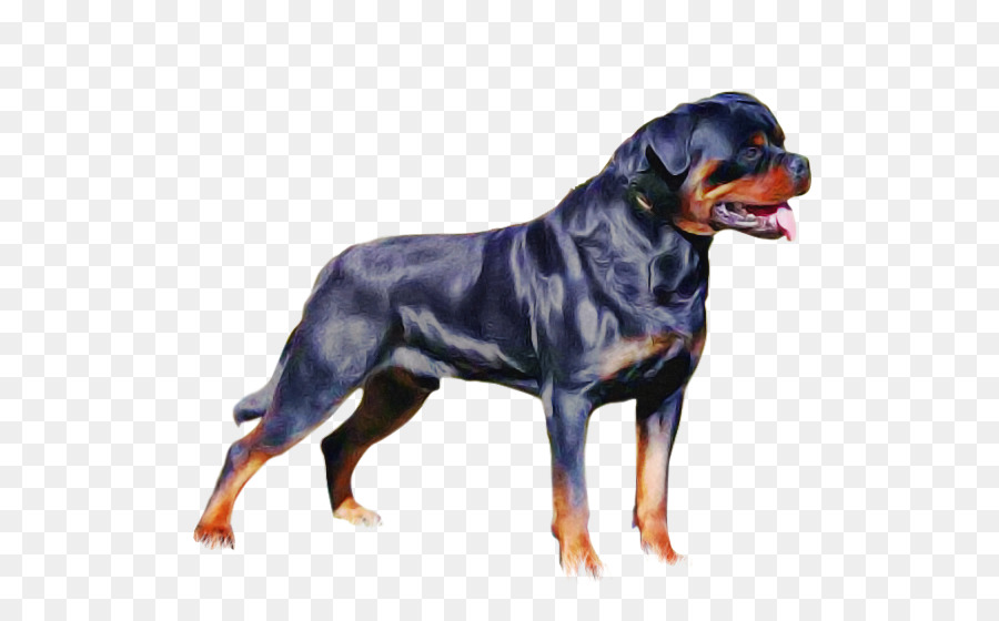 Perro，Rottweiler PNG