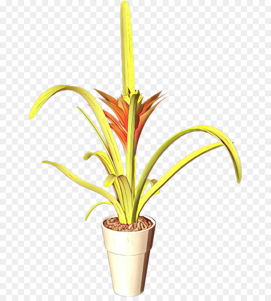 Flor，Maceta PNG