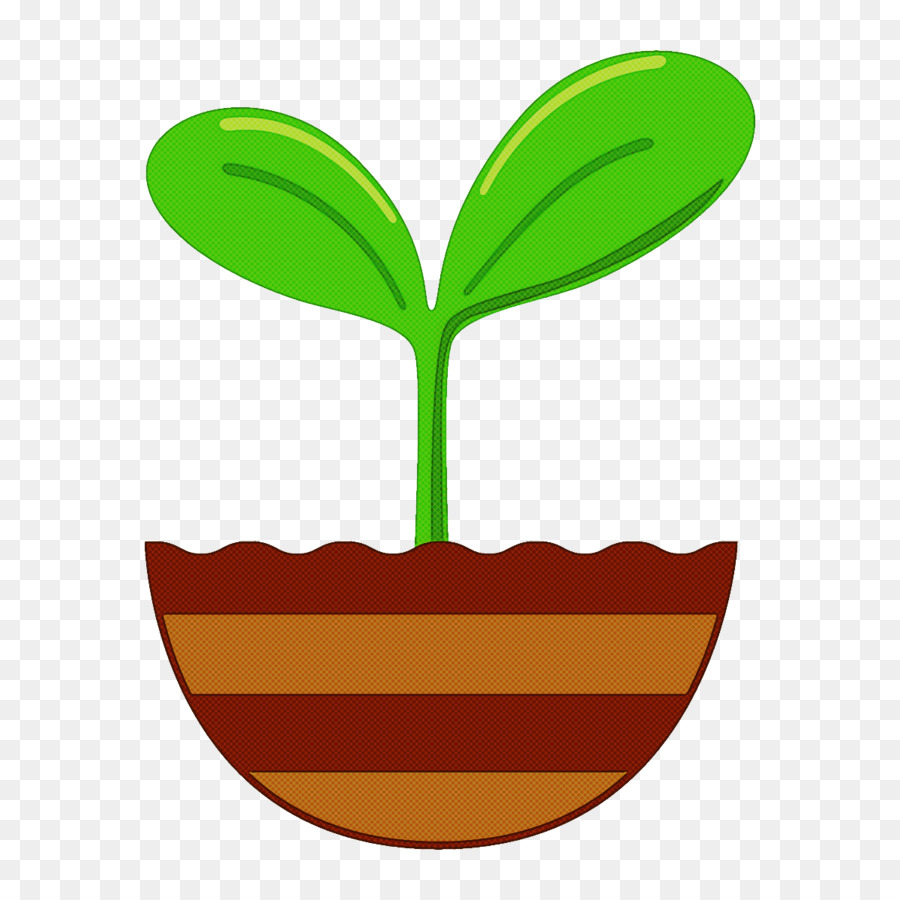 Planta，Hojas PNG