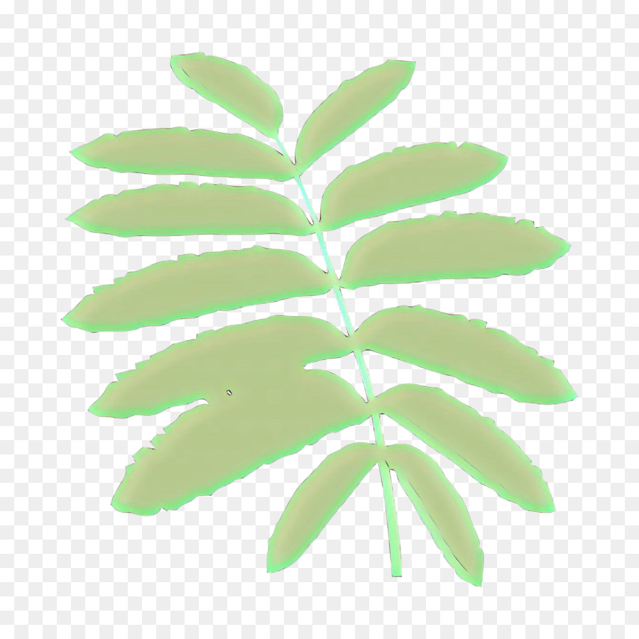 Hoja，Naturaleza PNG