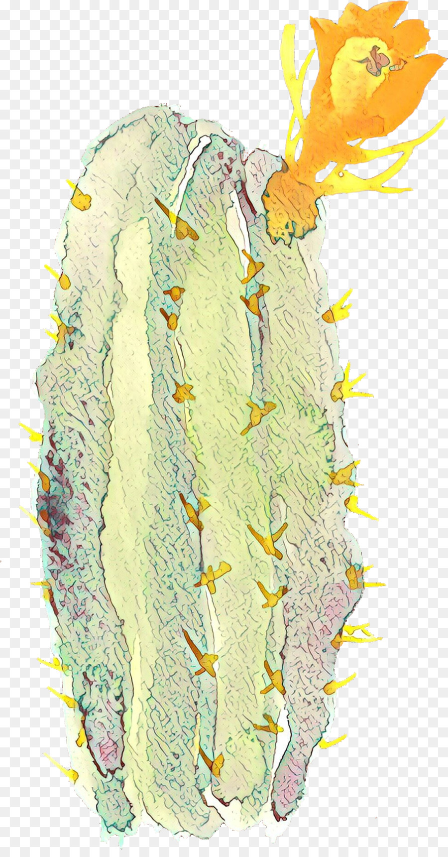 Cactus，Desierto PNG