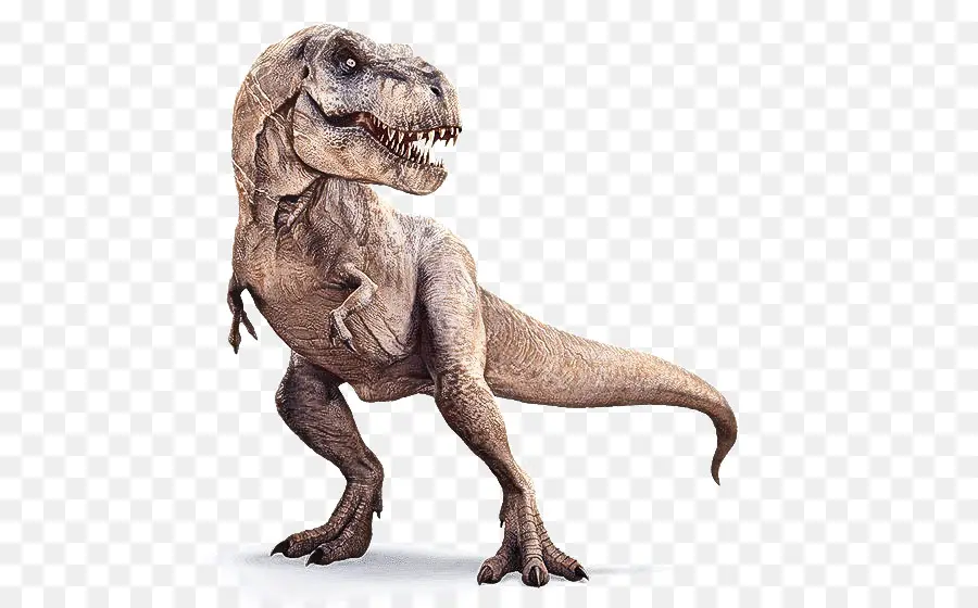 Dinosaurio，Tyrannosaurus PNG