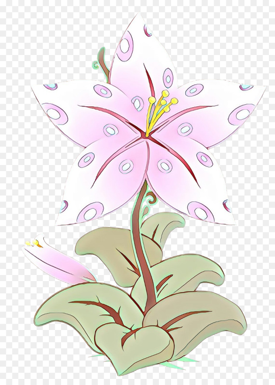 Flor，Planta PNG