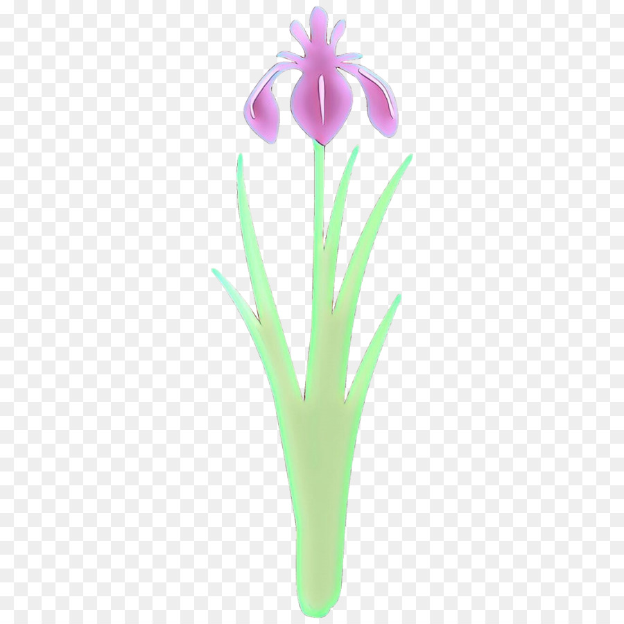 Flor，Planta PNG