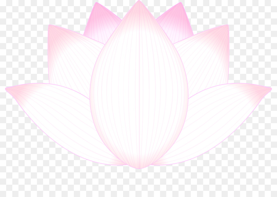 Rosa，Blanco PNG