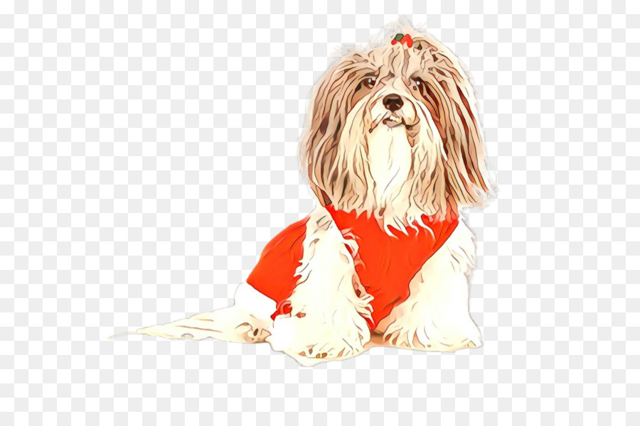 Perro，Shih Tzu PNG