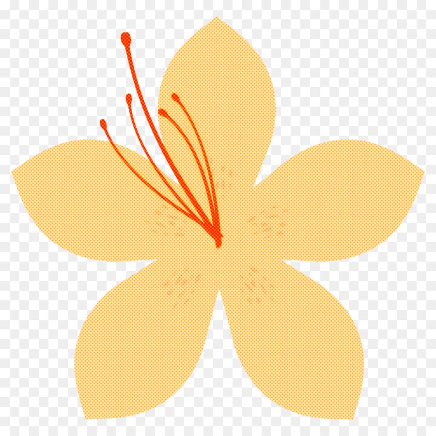 Flor De Naranja，Florecer PNG