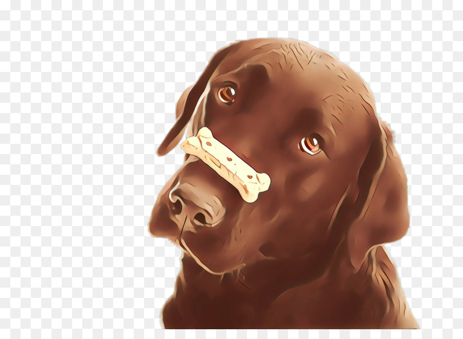 Perro Marrón，Mascota PNG