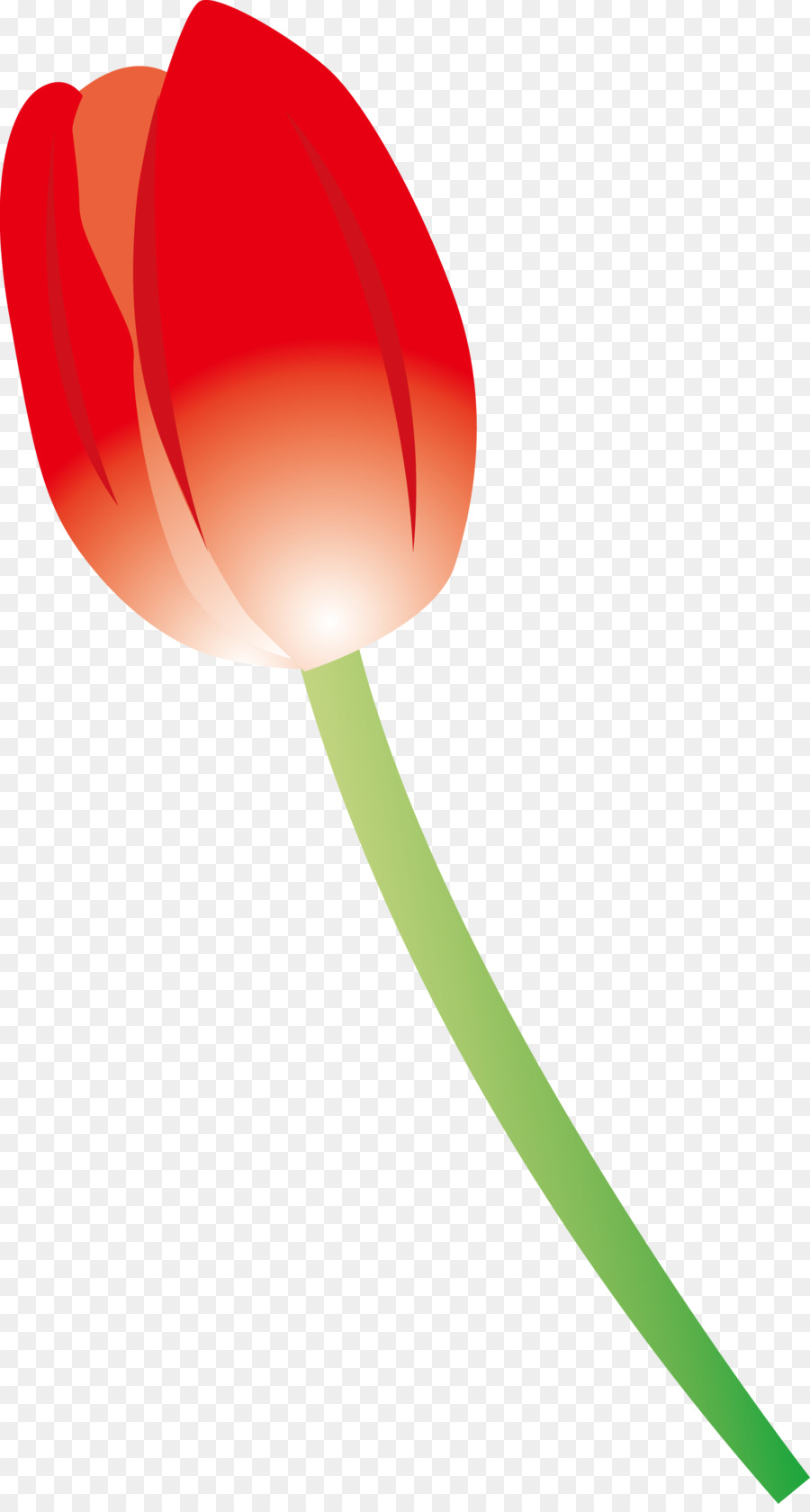 Flor，Rojo PNG