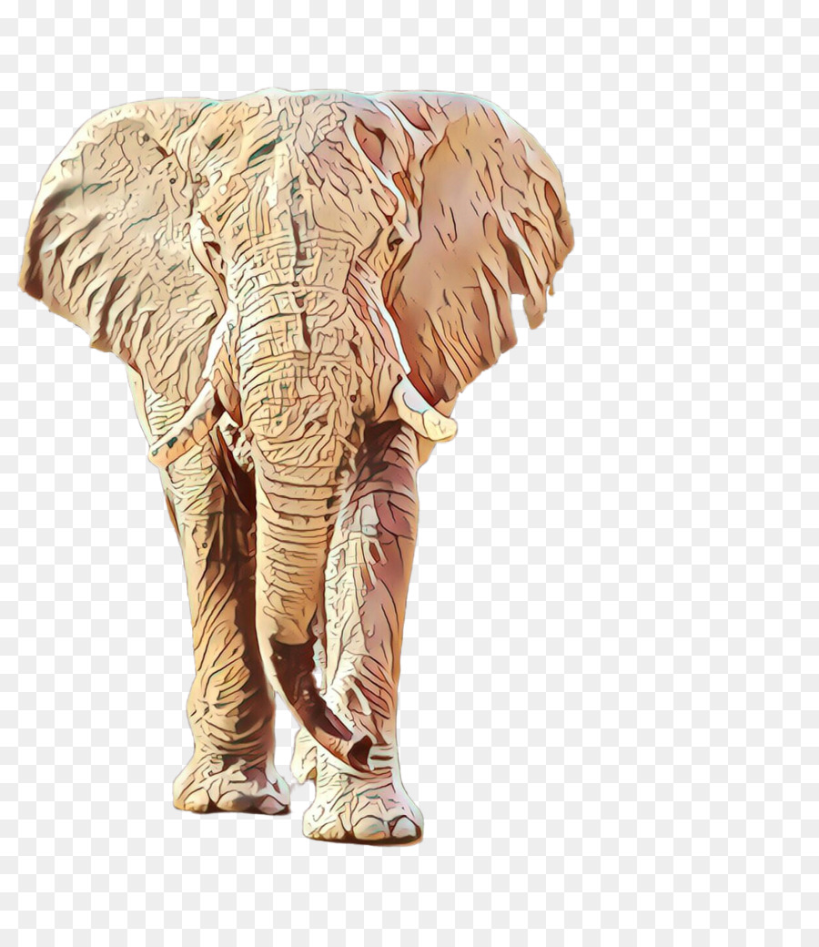 Elefante，El Elefante Africano PNG