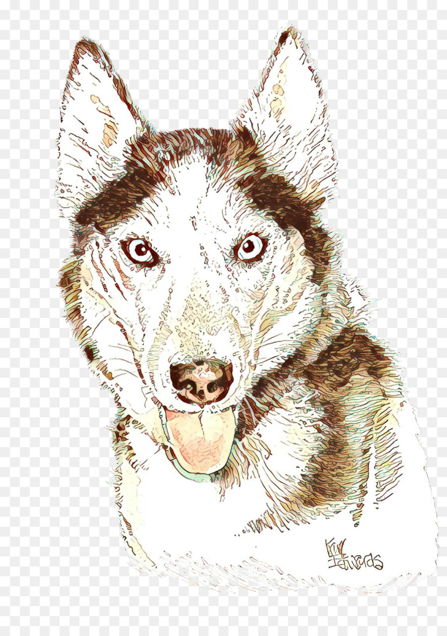 Perro，La Cabeza PNG