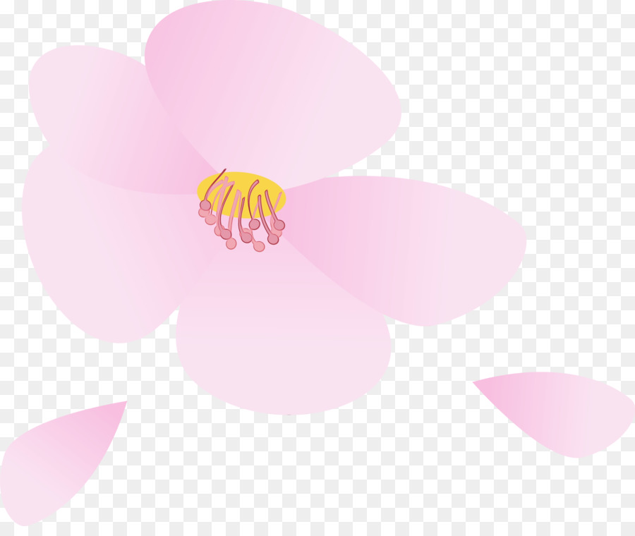 Rosa，Pétalo PNG