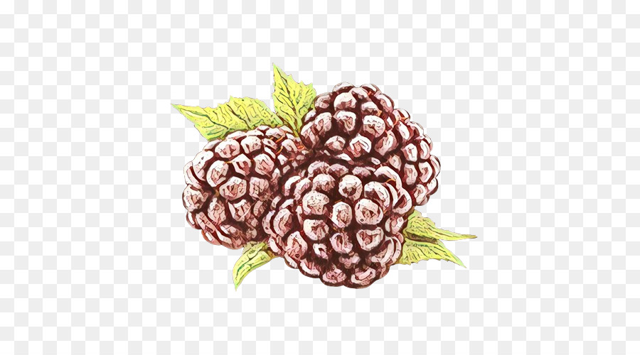 Berry，La Fruta PNG