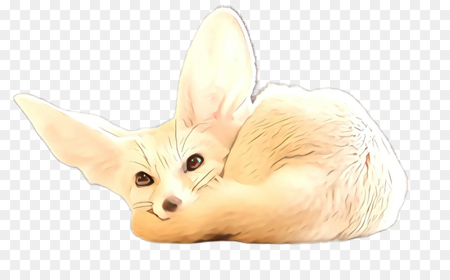 Fennec Fox，Zorro PNG