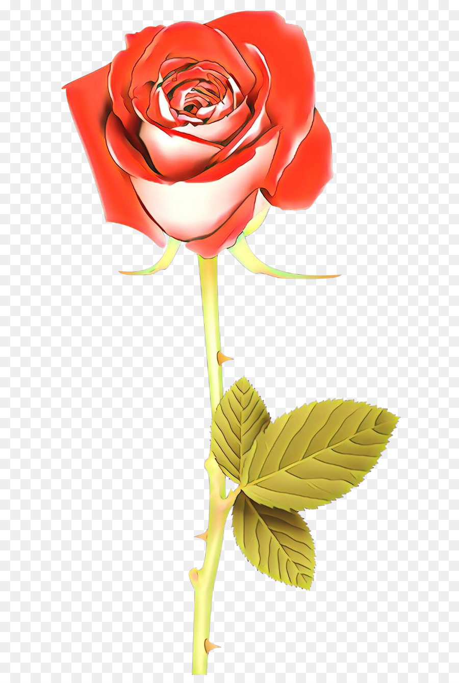 Rosa，Rojo PNG