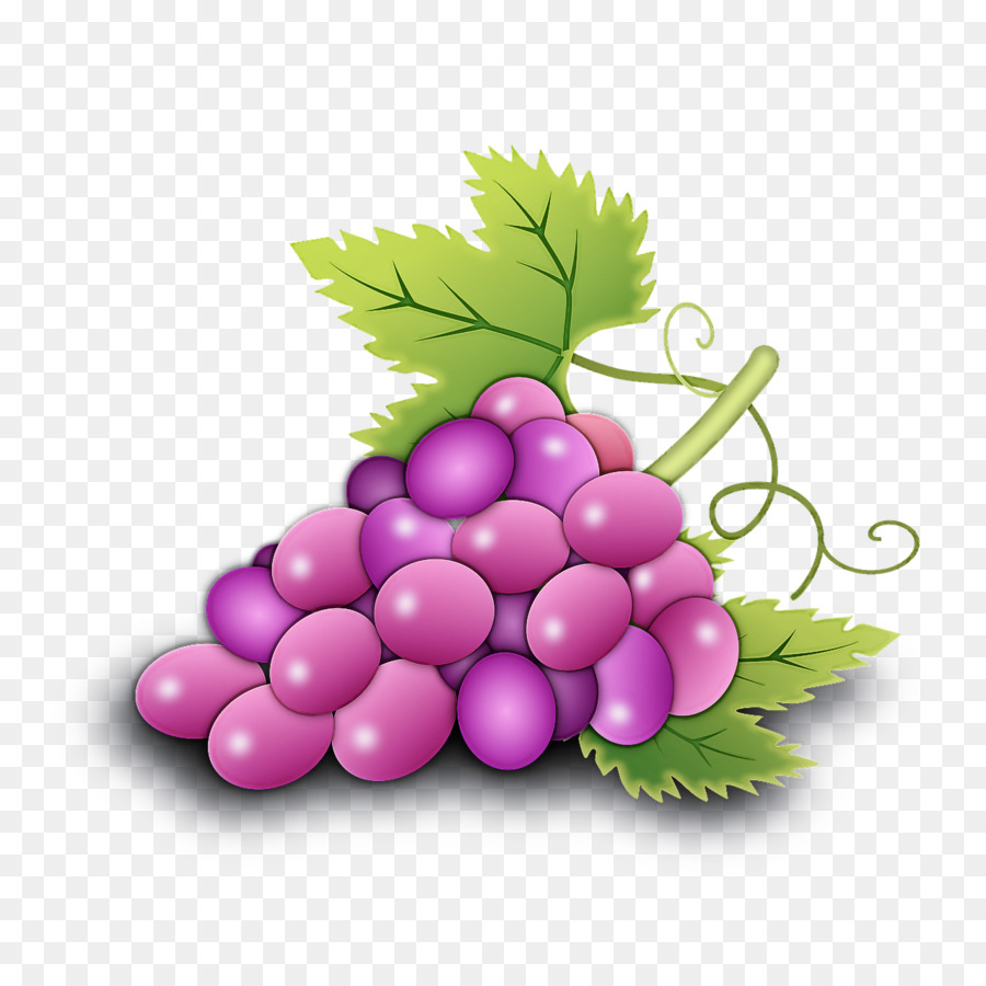 Uvas Moradas，Hojas PNG